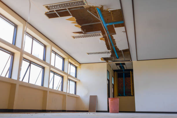 Best Water damage restoration near me  in Newton, KS