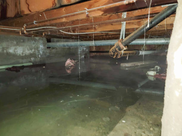Best Residential water damage restoration  in Newton, KS