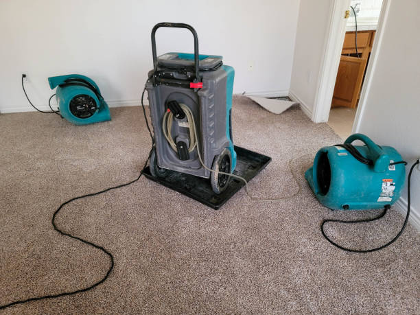 Best Commercial water damage restoration  in Newton, KS