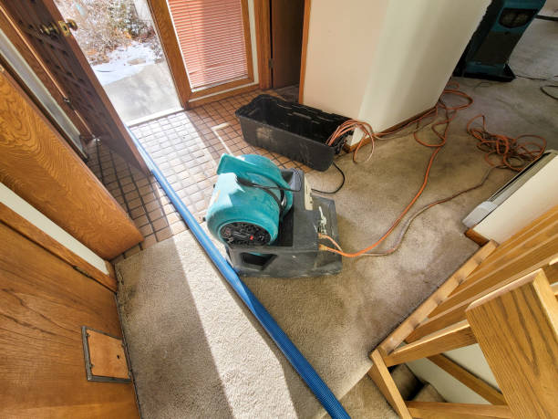 Best Flood restoration services  in Newton, KS