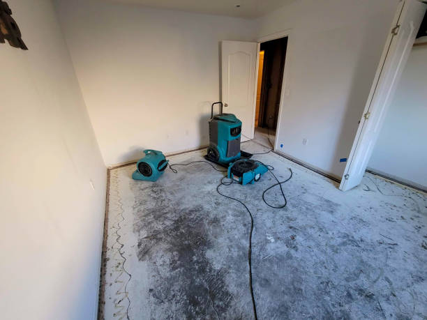 Best Fire Damage Restoration  in Newton, KS