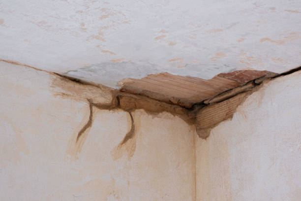 Best Ceiling water damage repair  in Newton, KS
