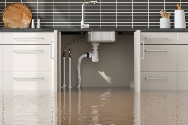 Best 24/7 water damage repair  in Newton, KS