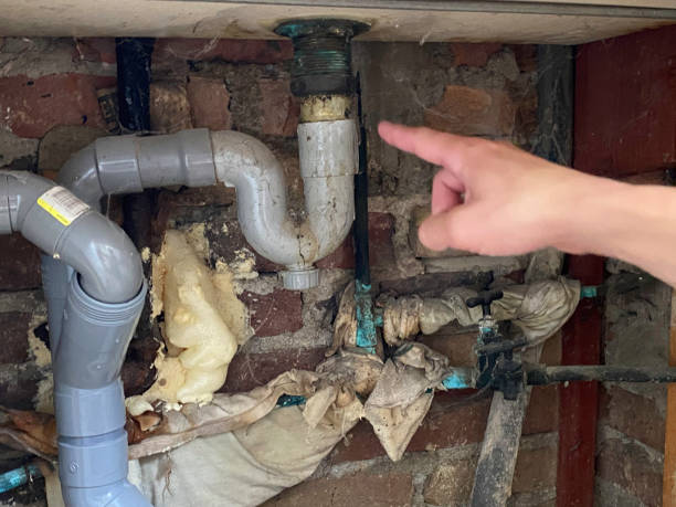 Best Carpet water damage restoration  in Newton, KS