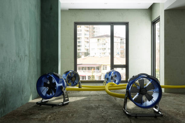 Best 24-hour water damage restoration  in Newton, KS